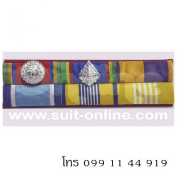 แพรแถบ - ตช ตม (6) 6 ชนิด
