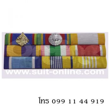 แพรแถบ - ทม ตช (7) 9 ชนิด