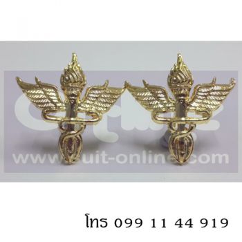เข็มคอกระทรวง - สาธารณะสุข