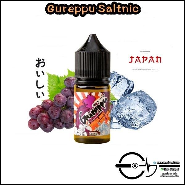 Gureppu Saltnic - V