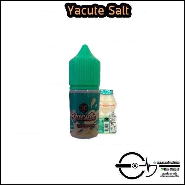 Yacute Saltnic