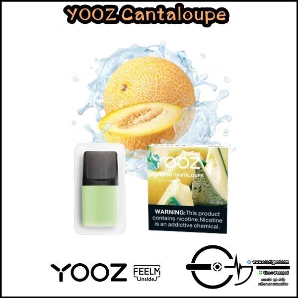 YOOZ Cantaloupe 4Pcs