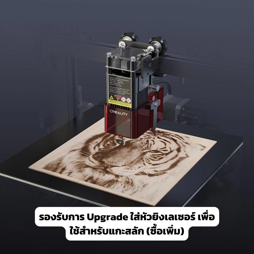 My Image 19
