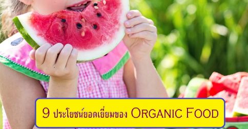 9 ประโยชน์ "ยอดเยี่ยม" ที่เราควรรับประทาน Organic 9 ประโยชน์ "ยอดเยี่ยม" ที่เราควรรับประทาน Organic