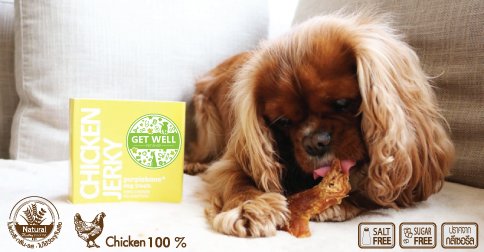 สยบ ทุกๆ สันในไก่อบแห้ง Chicken Jerky ที่คุณ เคยลองมา ลองหรือยัง? สยบ ทุกๆ สันในไก่อบแห้ง Chicken Jerky ที่คุณ เคยลองมา ลองหรือยัง?