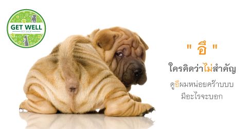 อึ....ใครคิดว่าไม่สำคัญ อึ....ใครคิดว่าไม่สำคัญ