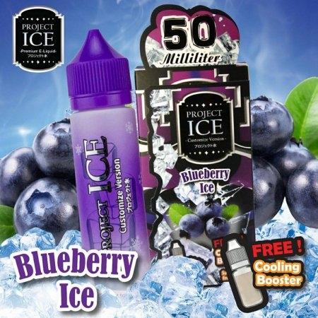 Project-ice-Blueberry