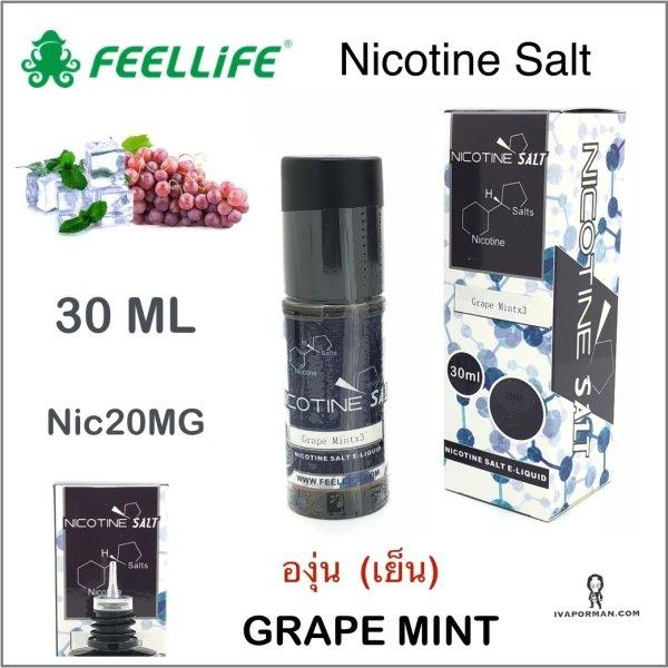 FEEL-Slat Nic Grape Mint (เย็น)