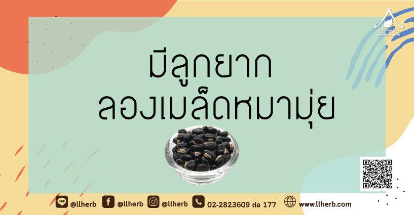 มีลูกยาก ลองเมล็ดหมามุ่ย มีลูกยาก ลองเมล็ดหมามุ่ย
