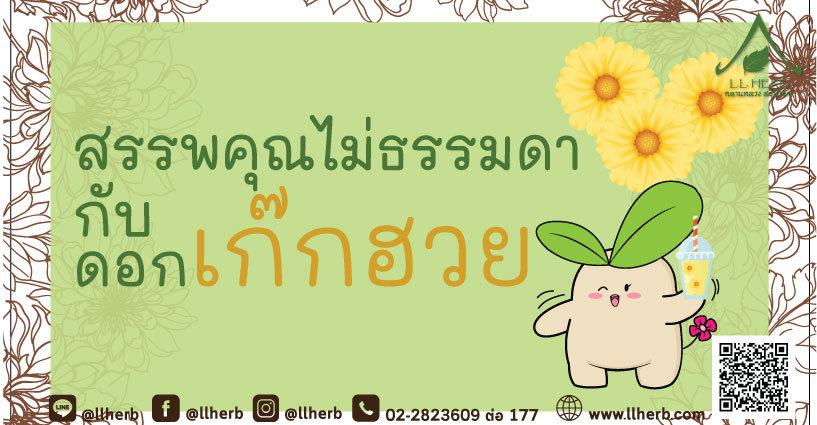 เก๊กฮวยถ้วยใหญ่ๆ แถมประโยชน์คับแก้ว เก๊กฮวยถ้วยใหญ่ๆ แถมประโยชน์คับแก้ว