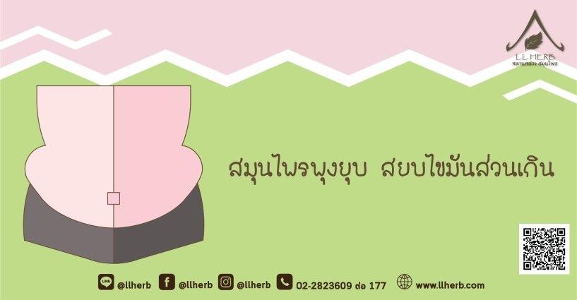 สมุนไพรพุงยุบ สยบไขมันส่วนเกิน สมุนไพรพุงยุบ สยบไขมันส่วนเกิน