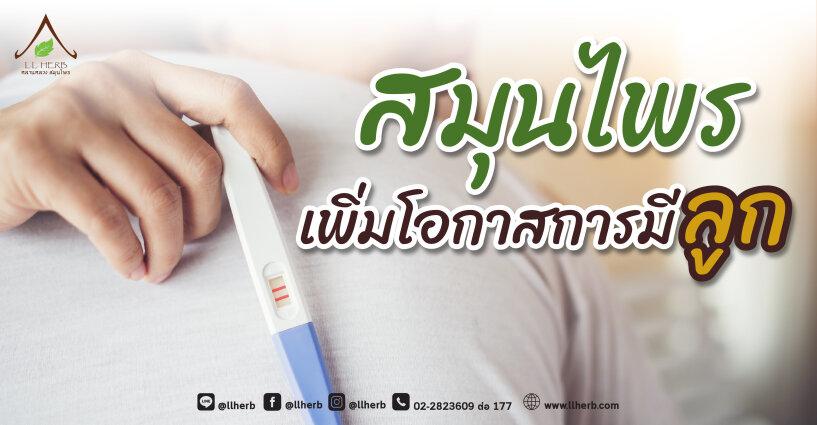 สมุนไพรเพิ่มโอกาสการมีลูก สมุนไพรเพิ่มโอกาสการมีลูก