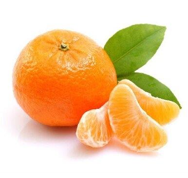 Orange - ส้ม - Jarvis ผักและผลไม้