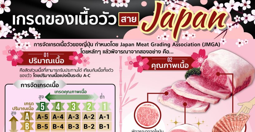 ฟู้ดดารี่แจกเคล็ดลับการจัดเกรดของเนื้อวัวสายญี่ปุ่น ฟู้ดดารี่แจกเคล็ดลับการจัดเกรดของเนื้อวัวสายญี่ปุ่น