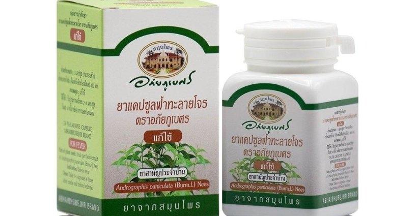 ฟ้าทะลายโจรป้องกันเชื้อไวรัสโควิด19 ได้จริงไหม ? ฟ้าทะลายโจรป้องกันเชื้อไวรัสโควิด19 ได้จริงไหม ?