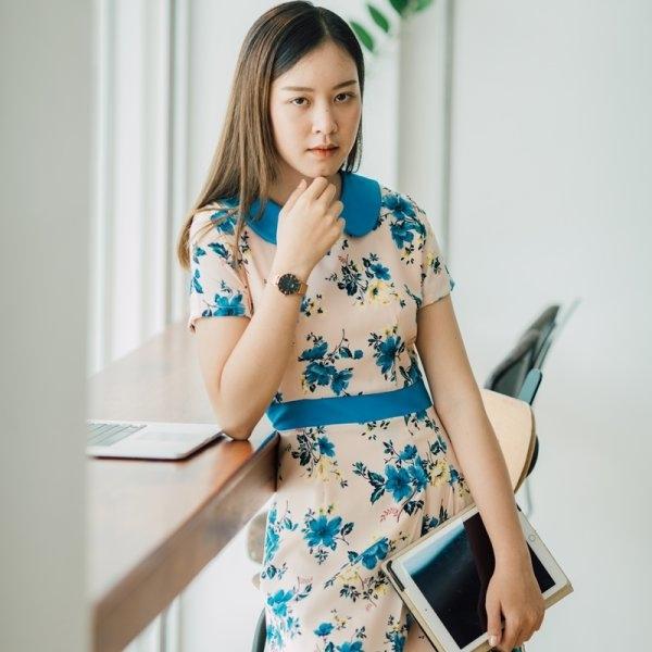 Nita Collar Dress