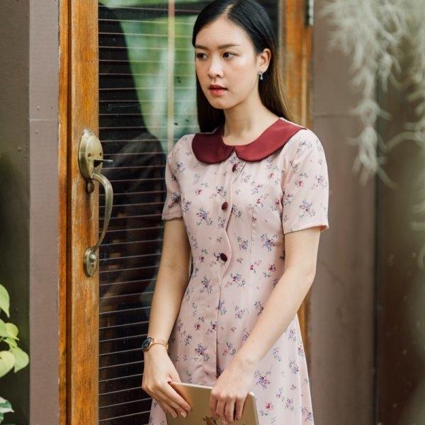 Pailin Collar Cute Dress