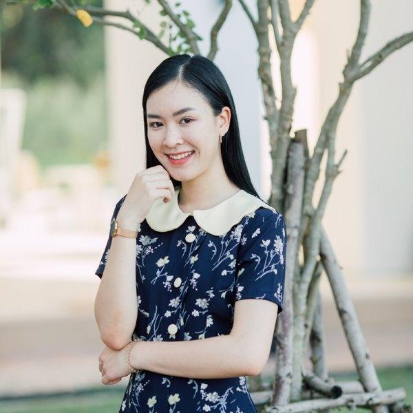 Pailin Collar Cute Dress