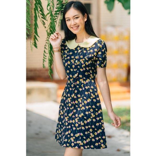 Pailin Collar Cute Dress