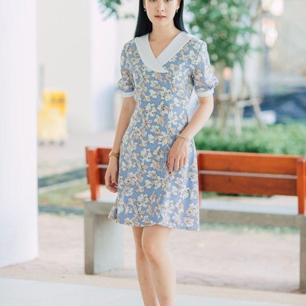 Pailin Doll Sleeved Dress
