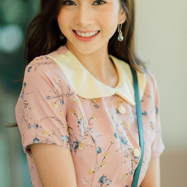Pailin Collar Cute Dress