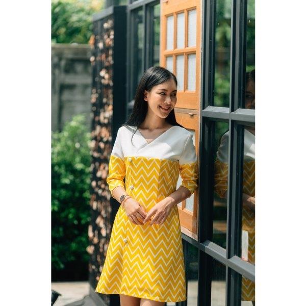Julia Graphic Dress