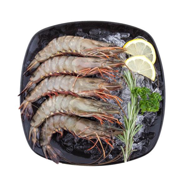 FROZEN RAW WHOLE BLACK TIGER SHRIMP HEAD ON 8/12 กุ้งลายเสือแช่แข็ง ขนาดใหญ่ทั้งตัว 8/12 ตัวต่อโล 1 KG. (10400146) FROZEN RAW WHOLE BLACK TIGER SHRIMP HEAD ON 8/12 กุ้งลายเสือแช่แข็ง ขนาดใหญ่ทั้งตัว 8/12 ตัวต่อโล 1 KG. (10400146)