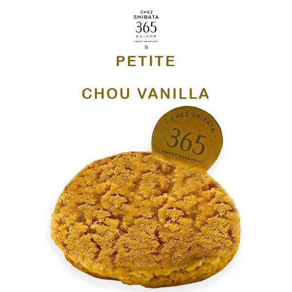Petite Chou vanilla (minimum order 50 pcs.)