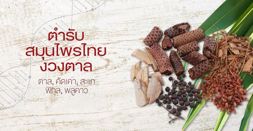 ตำรับสมุนไพรไทยงวงตาล ตำรับสมุนไพรไทยงวงตาล