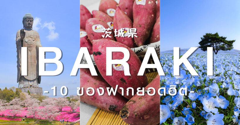 10 ของฝากยอดฮิตจากเมืองอิบารากิ ห้ามพลาด! 10 ของฝากยอดฮิตจากเมืองอิบารากิ ห้ามพลาด!