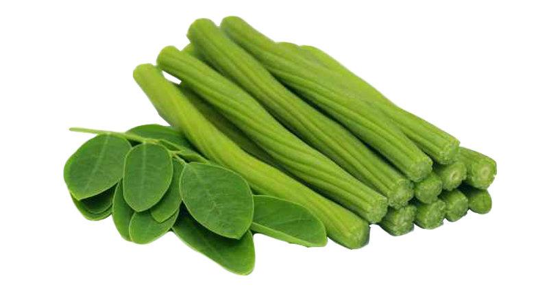 สรรพคุณชาสมุนไพรมะรุม (Properties of Moringa Tree) สรรพคุณชาสมุนไพรมะรุม (Properties of Moringa Tree)