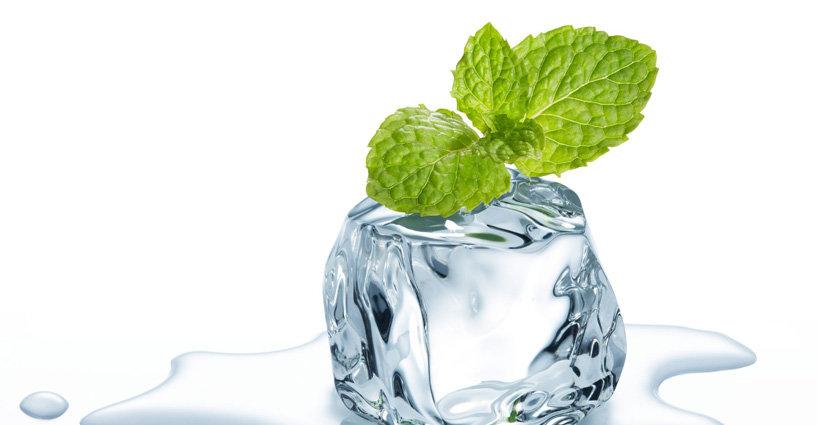 Properties of Herbadyne: Menthol (เมนทอล) Properties of Herbadyne: Menthol (เมนทอล)