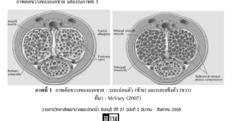 โรคหย่อนสมรรถภาพทางเพศ: บทบาทพยาบาล โรคหย่อนสมรรถภาพทางเพศ: บทบาทพยาบาล