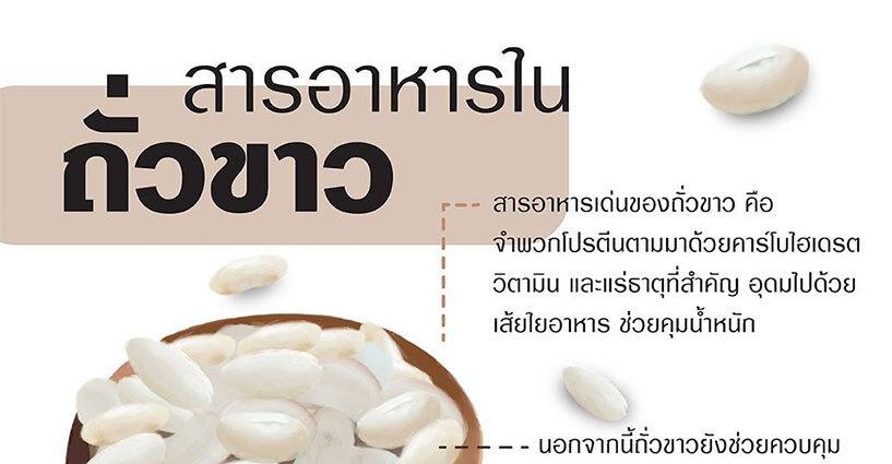 สารอาหารในถั่วขาว สารอาหารในถั่วขาว