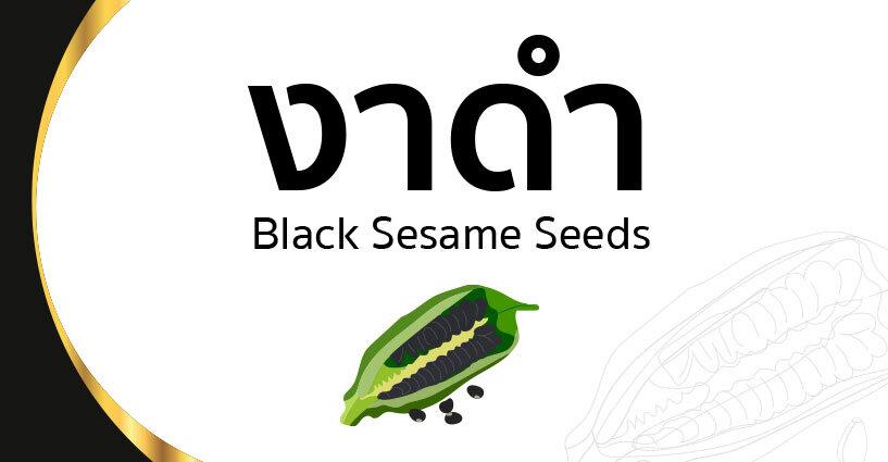 งาดำ Black sesame seed งาดำ Black sesame seed