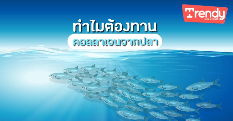 ทำไมต้องทานคอลลาเจนจากปลา ทำไมต้องทานคอลลาเจนจากปลา