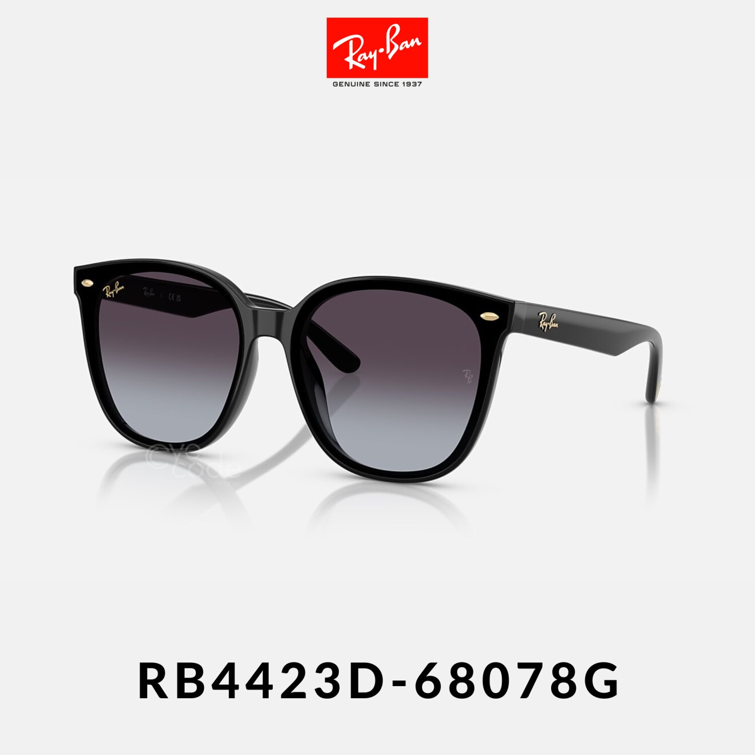 Ray Ban RB4423D-66 YEAR OF THE SNAKE EDITION - Eyecode Optical