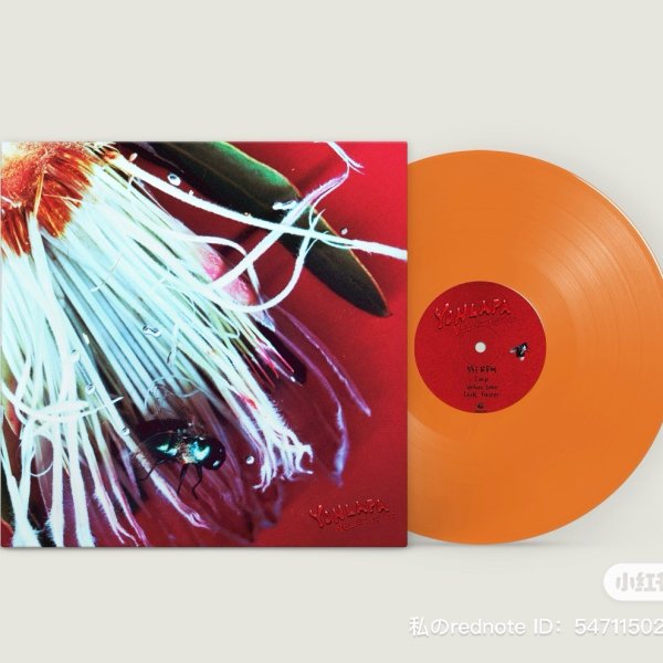 Phum Viphurit : Manchild (1LP Transparent Vinyl) - Earthtone Records