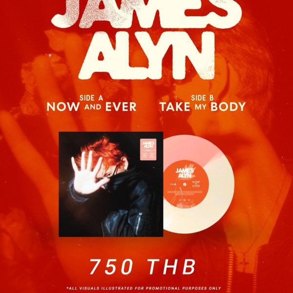 HYBS : Making Steak : 1LP Transparent Orange Vinyl - Earthtone Records