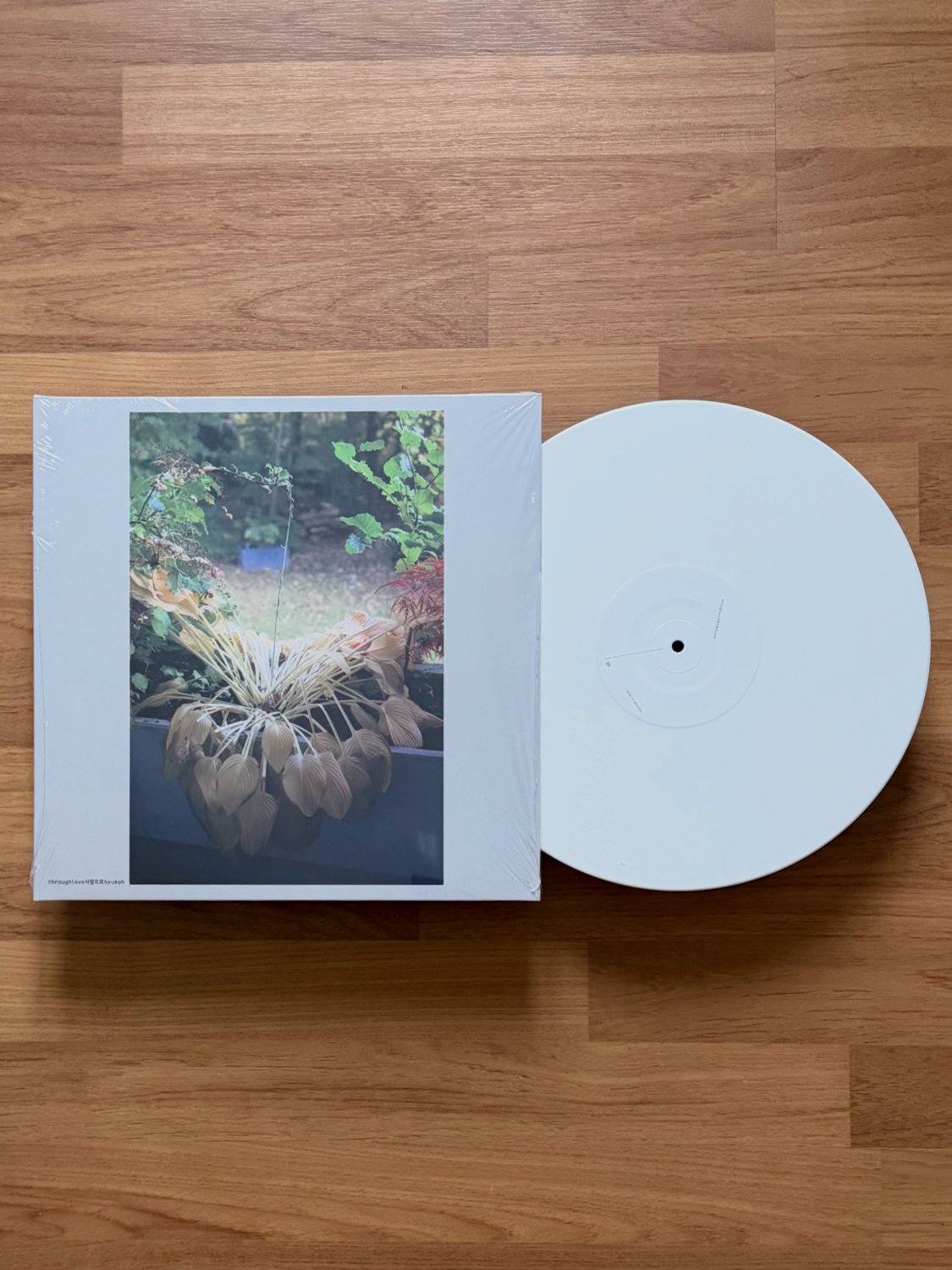 HYUKOH : Through Love (White Vinyl) : HK-TL - Earthtone Records