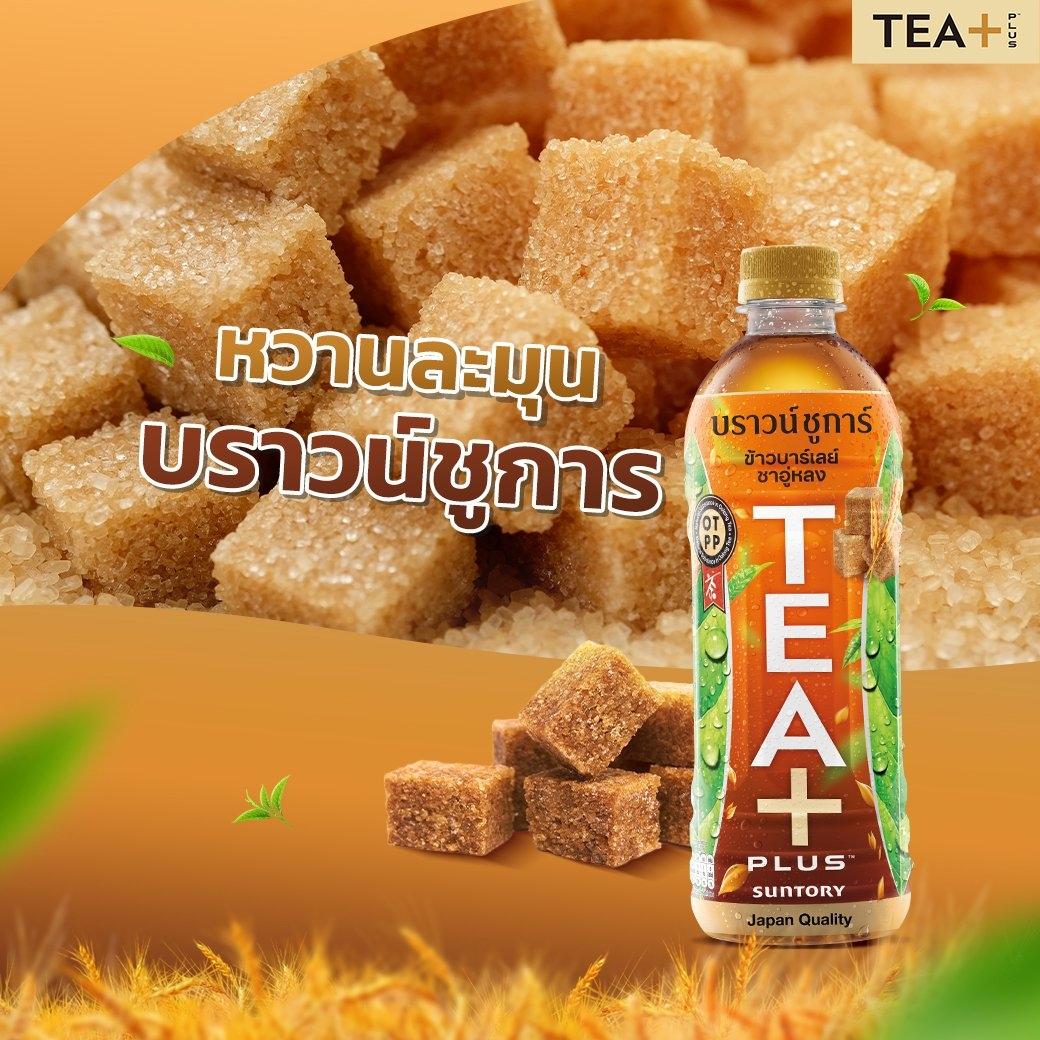 Tea Plus Brown Sugar Barley Oolong 490 ml. 24 bottle ทีพลัส ชาอู่หลง ...