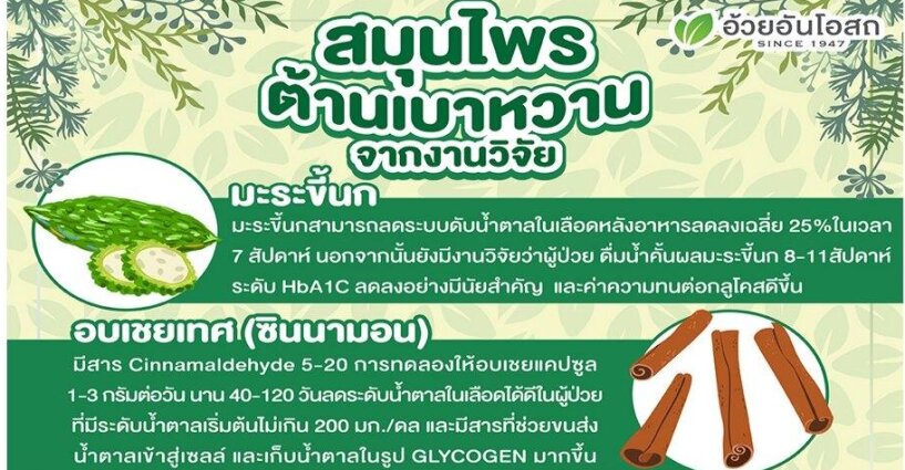 สามสมุนไพร ต้านเบาหวาน จากสมุนไพร สามสมุนไพร ต้านเบาหวาน จากสมุนไพร