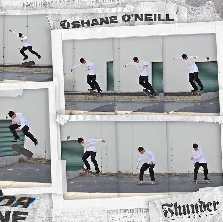 THUNDER LIGHT 147, 148 : SHANE O'NEILL COMMADORE LIGHTS 147, 148